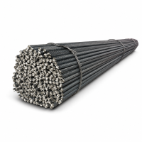Fier beton 10mm / 1 kg